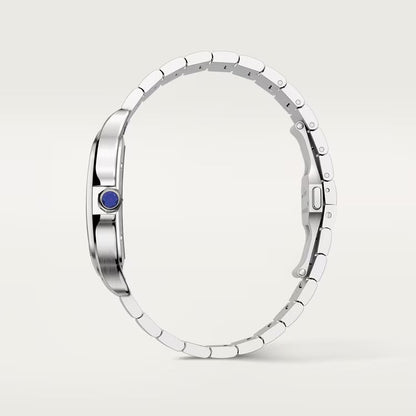 Cartier Santos De Cartier Skeleton WHSA0015