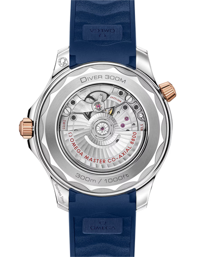 OMEGA SEAMASTER DIVER BLUE Bronze