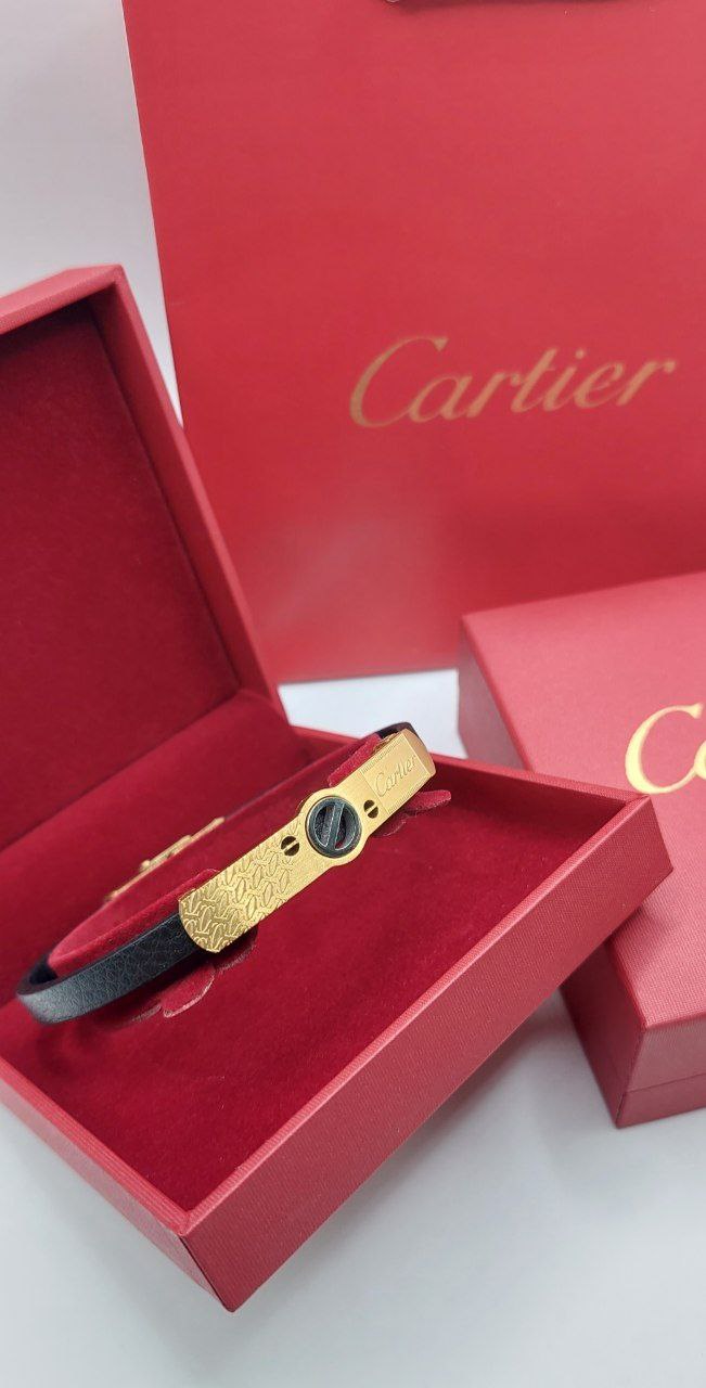 Bracelet de Luxe Pour Homme / F300770