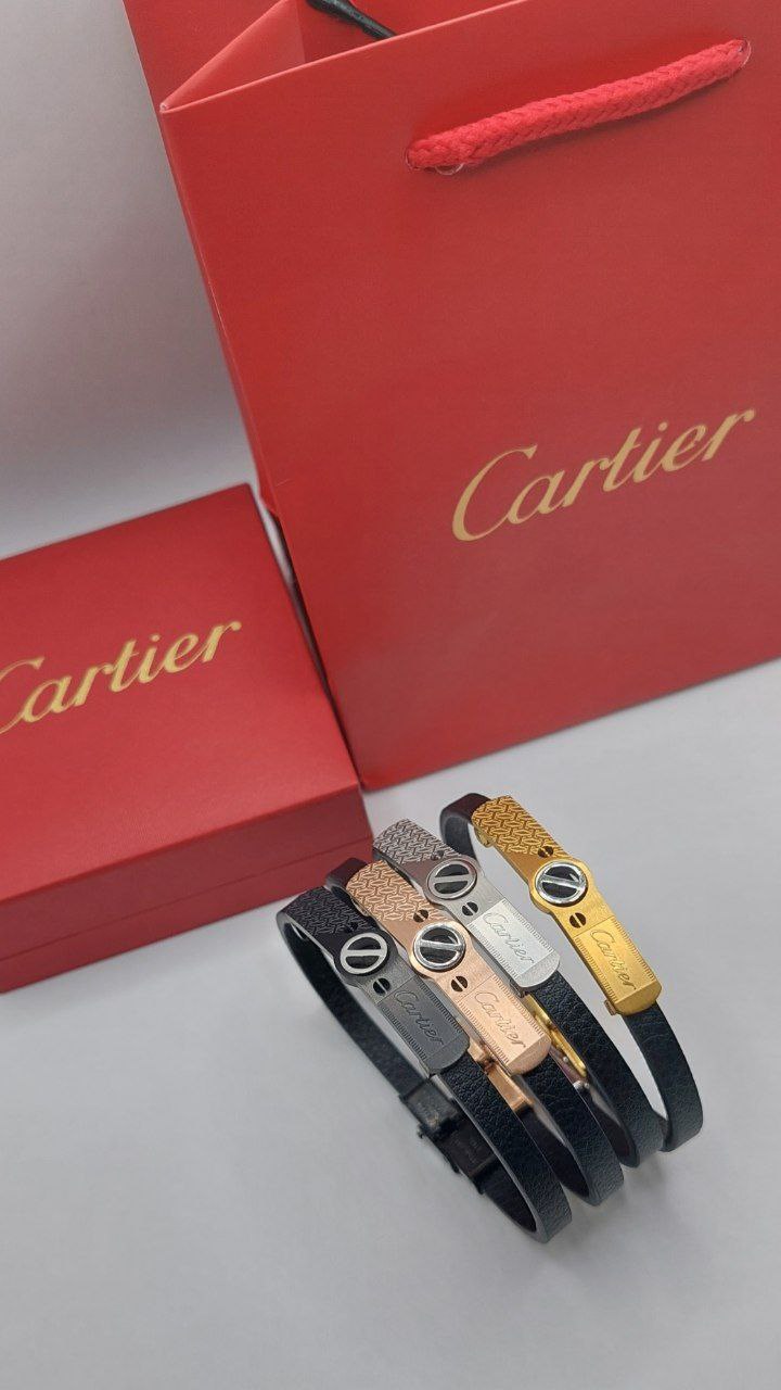 Bracelet de Luxe Pour Homme / F300770