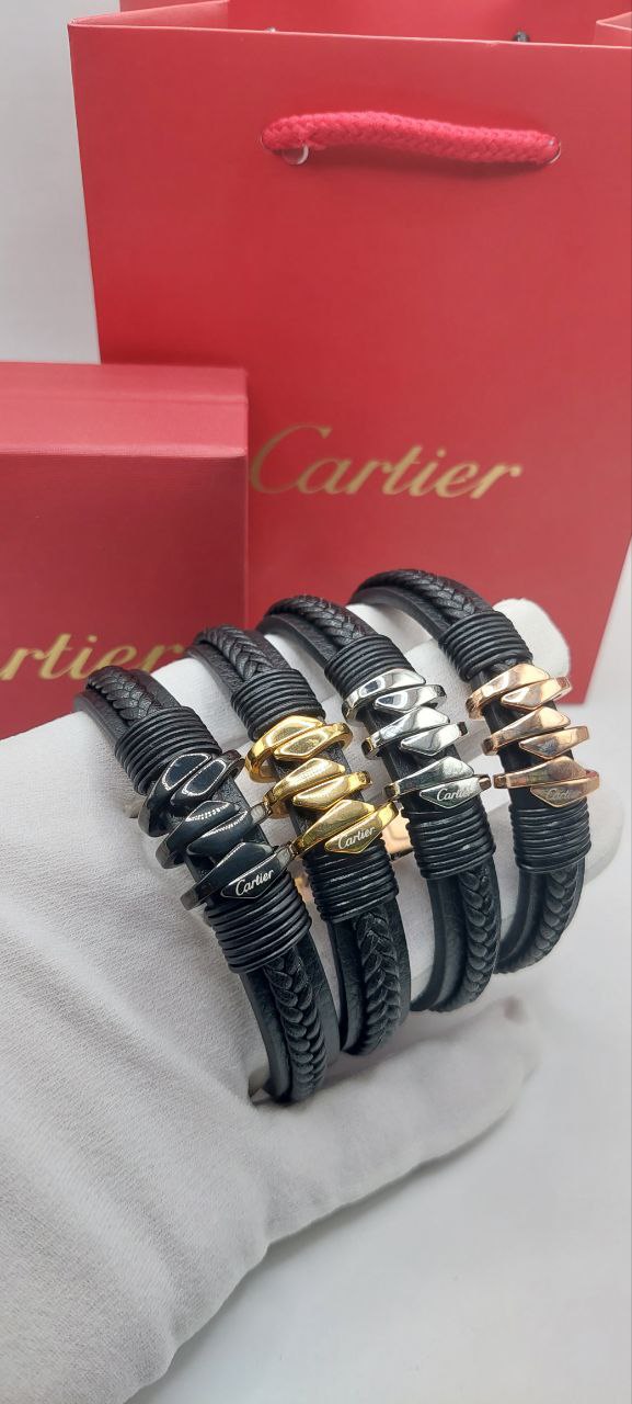 Bracelet de Luxe Pour Homme / F300771