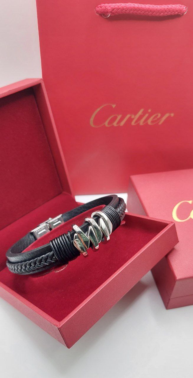 Bracelet de Luxe Pour Homme / F300771