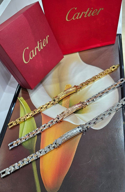 Bracelet de Luxe Pour Homme / F300784