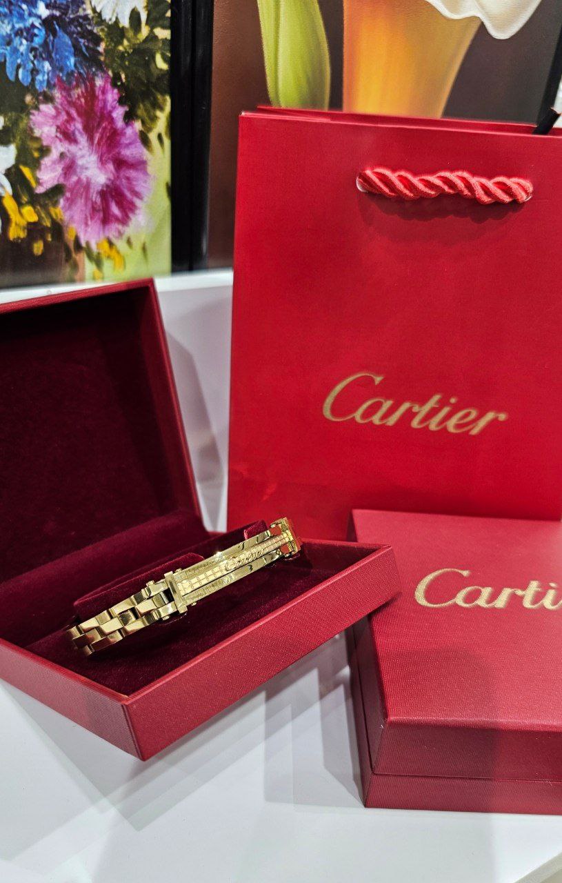 Bracelet de Luxe Pour Homme / F300784