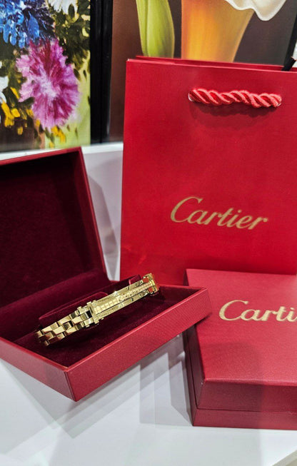Bracelet de Luxe Pour Homme / F300784