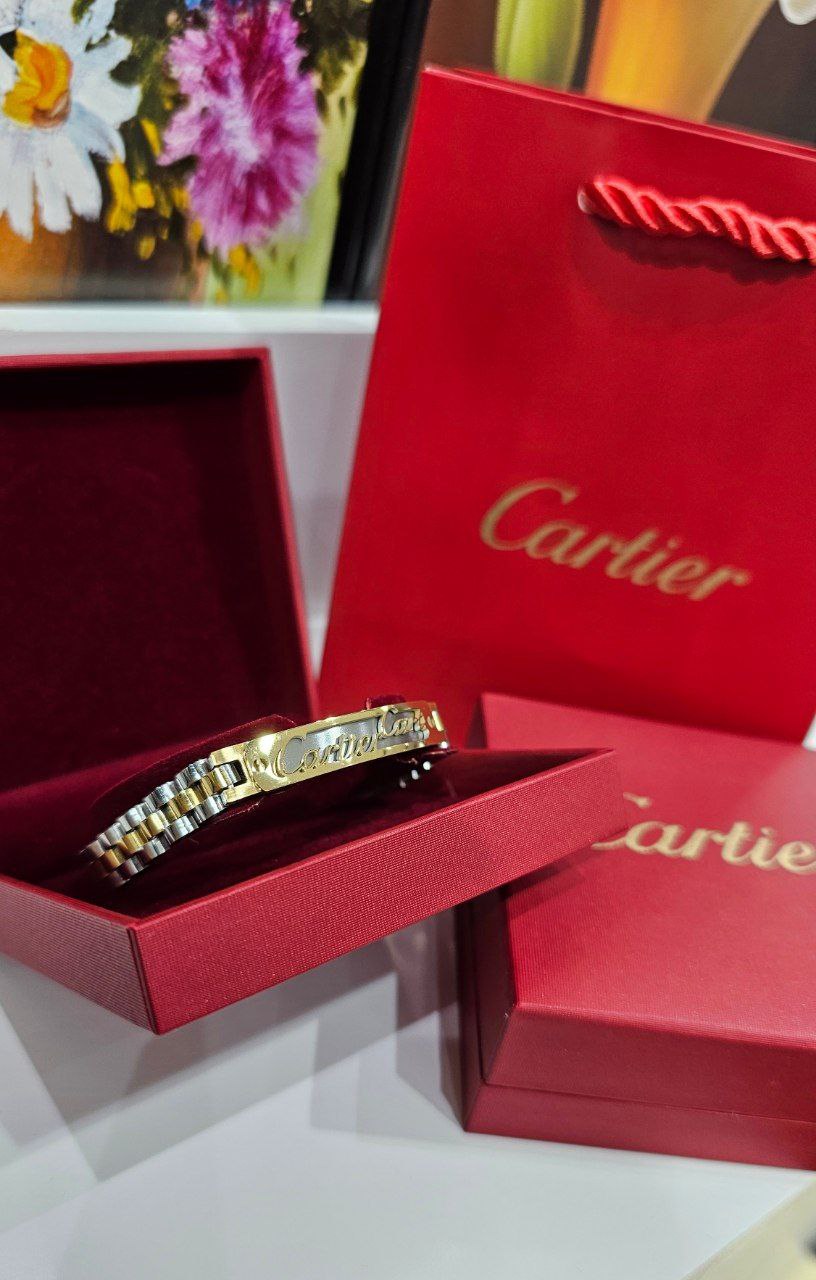 Bracelet de Luxe Pour Homme / F300785