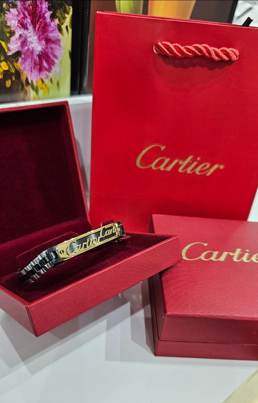 Bracelet de Luxe Pour Homme / F300785