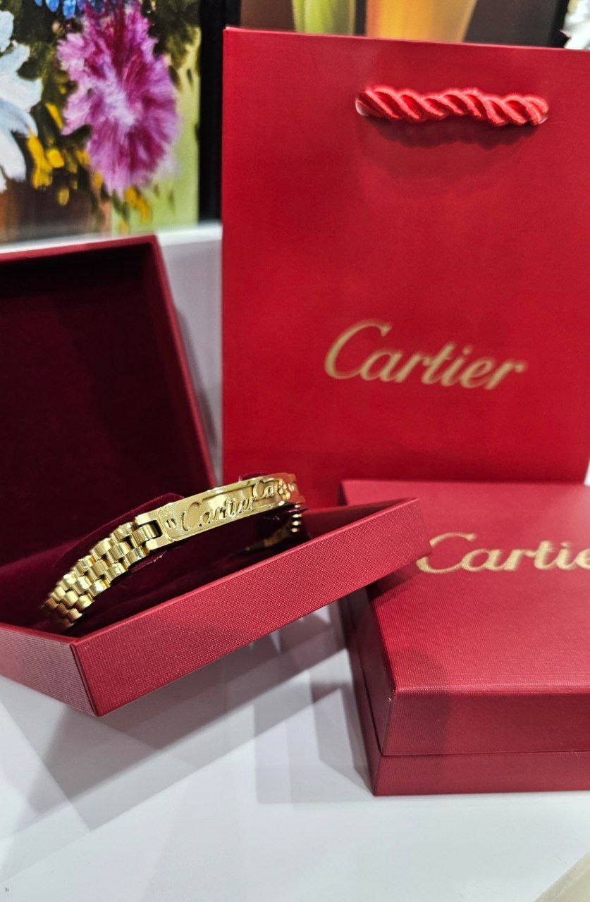 Bracelet de Luxe Pour Homme / F300785
