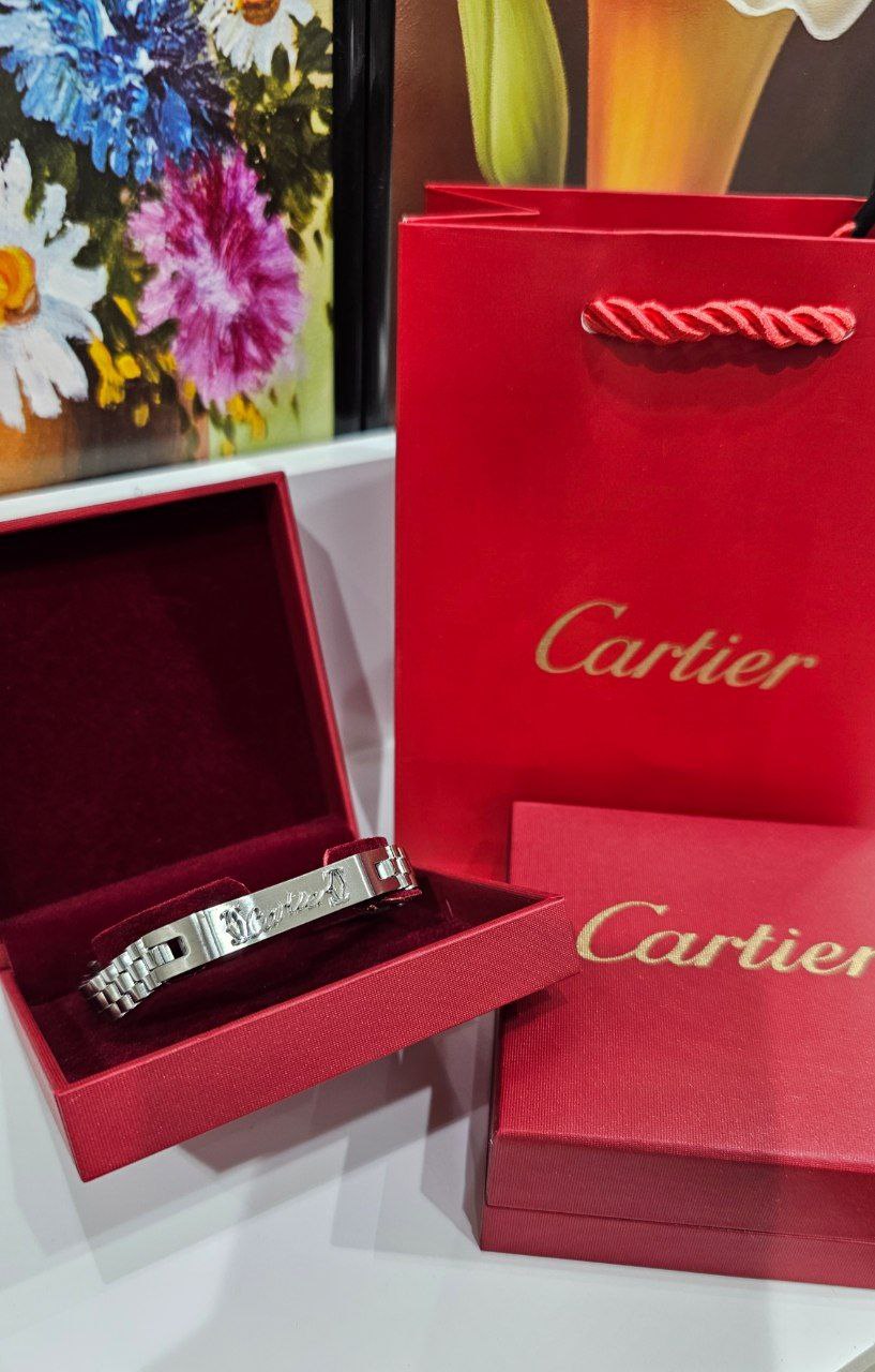 Bracelet de Luxe Pour Homme / F300786