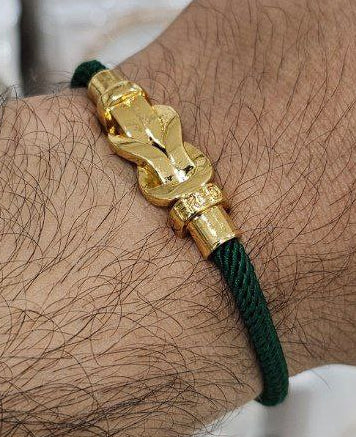Bracelet de Luxe Pour Homme / F300789